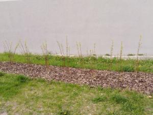 modernet-3